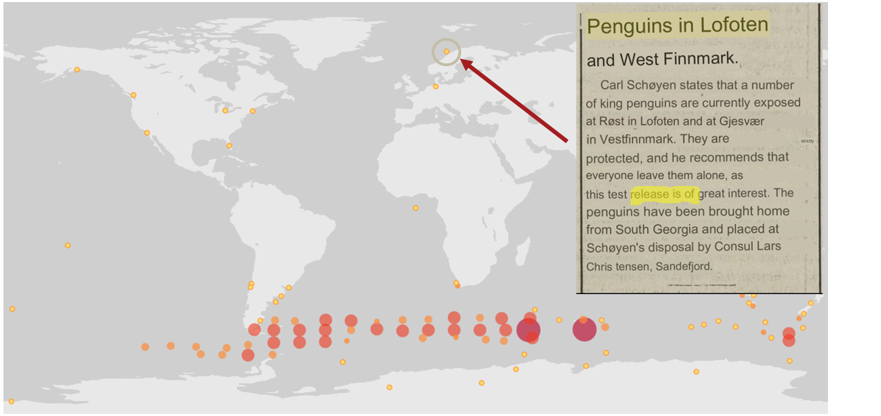 penguins